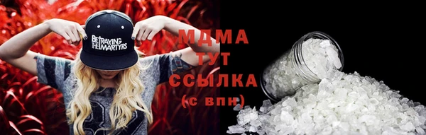 стаф Алзамай