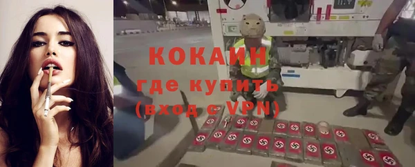 бошки Алексин