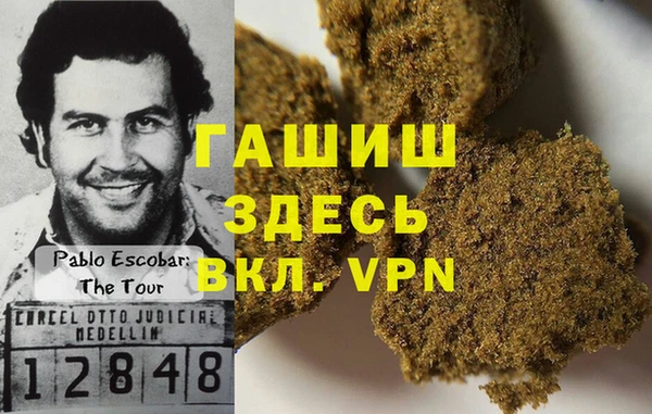 стаф Алзамай