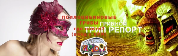стаф Алзамай
